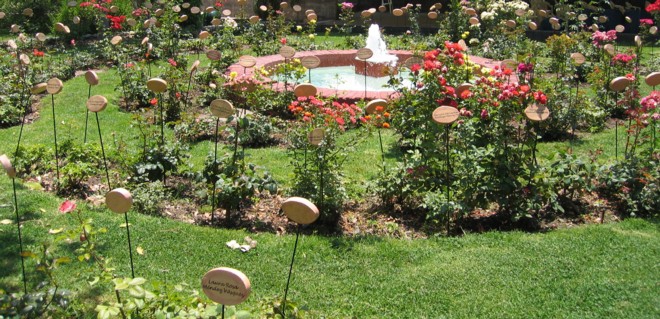 Jardín de las Rosas. Villa Grimaldi. Santiago de Chile. En memoria de las mujeres víctimas de la violencia o represión estatal de la Dictadura Militar.